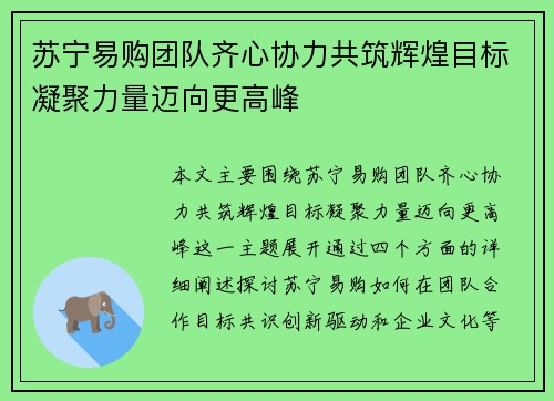 苏宁易购团队齐心协力共筑辉煌目标凝聚力量迈向更高峰