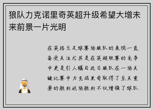 狼队力克诺里奇英超升级希望大增未来前景一片光明