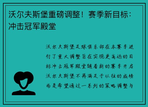 沃尔夫斯堡重磅调整！赛季新目标：冲击冠军殿堂